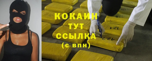 ГАЛЛЮЦИНОГЕННЫЕ ГРИБЫ Бородино