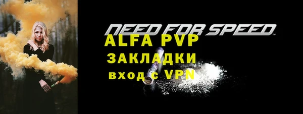 ГАЛЛЮЦИНОГЕННЫЕ ГРИБЫ Бородино