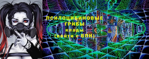 ГАЛЛЮЦИНОГЕННЫЕ ГРИБЫ Бородино