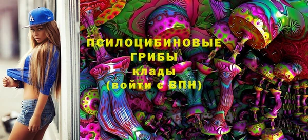 круглые Бронницы