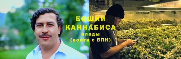 ГАЛЛЮЦИНОГЕННЫЕ ГРИБЫ Бородино